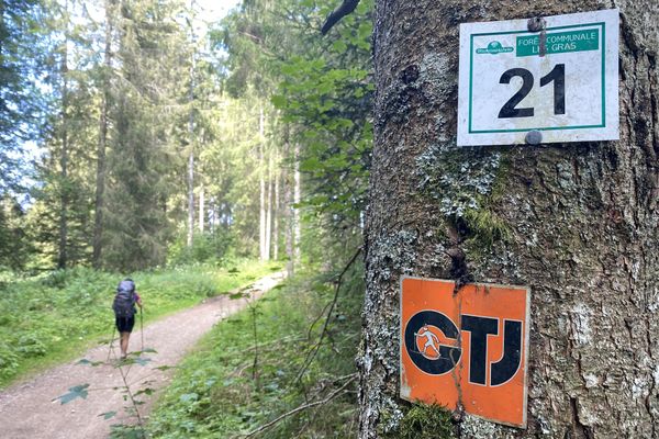 Randonnée à cheval sur la Grande Traversée du Jura - GTJ à cheval