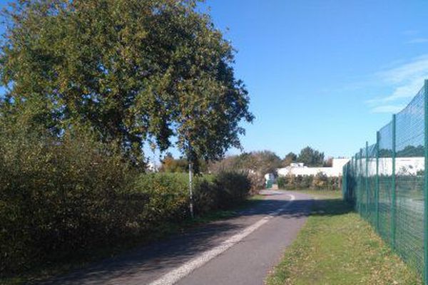 La pylône devait être installé à une dizaine de mètres de ce chêne planté devant le collège Tabarly à La Baule 