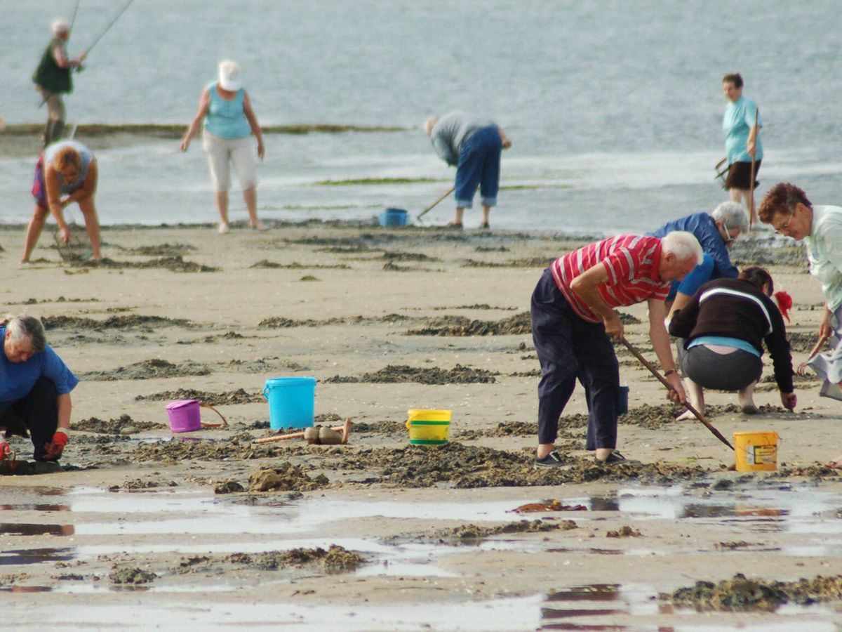 Sortie pêche à pied - Caen la mer Tourisme