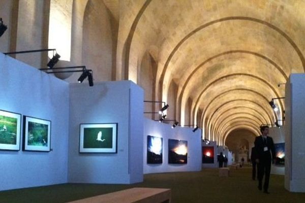 Ouverture de l'exposition mardi 25 à l'Orangerie du château de Versailles