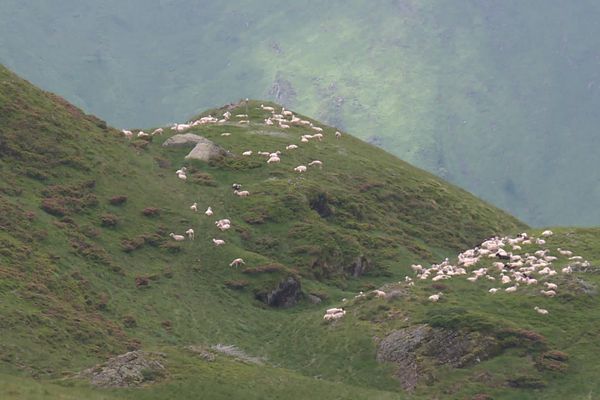 Une estive en Ariège