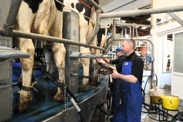 Avec l'augmentation du prix des matières premières, les producteurs de lait peinent à s'en sortir et demandent un meilleur prix à la vente.