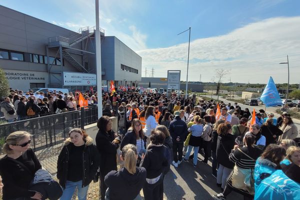 Les salariés du groupe Inovie manifestent devant le siège social à Montpellier.