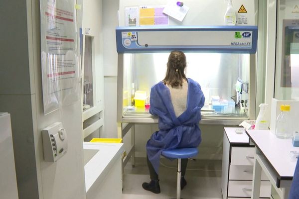 L'Institut Pasteur a participé à ce nouveau cas de probable guérison en collaboration avec des confrères européens.