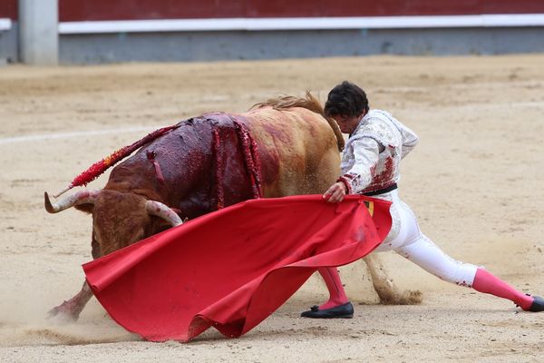 Madrid, 8 juin 2017. Genou ployé, corps de l'homme et de la bête pareillement étirés. Del Álamo dans ses œuvres.