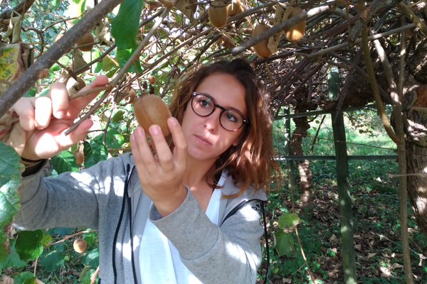 Pauline Massicam a appris à cultiver ses pommes et kiwis grâce aux conseils de sa mère.