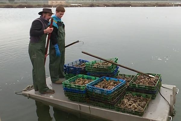 Jacques Petitgas ostréiculteur et son fils sur le bassin à Talmont Saint Hilaire (85) / 20 février 2019