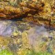 Les méduses sont présentes en ce moment près des plages du littoral méditerranéen, comme à Marseille ou encore sur l'île du Levant.