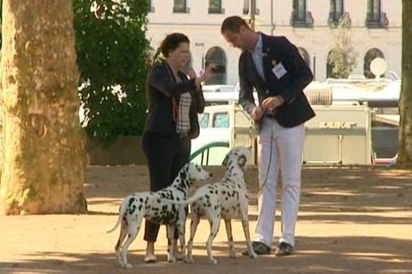 Exposition canine à Brive