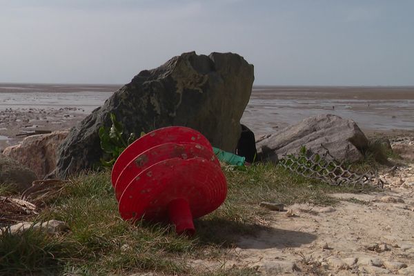 Des déchets plastiques ostréicoles.