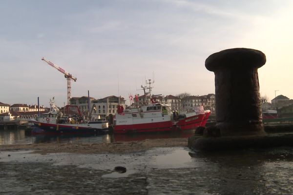 À Saint-Jean de Luz-Ciboure, 80% des bateaux sont à quai et ne peuvent aller pêcher.