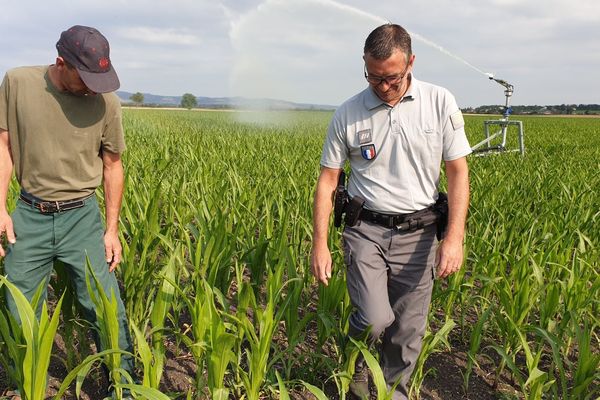 A Ennezat, dans le Puy-de-Dôme, les services de l'Etat organisaient mardi 9 juillet un contrôle auprès des agriculteurs et des particuliers. 