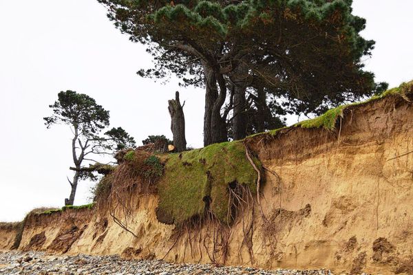 A Plougrescant (Côtes d'Armor), la côte avait été touchée par l'érosion dunaire après le passage des grandes marées en 2019.