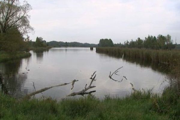 Le site du marais de Sacy-le-Grand dans l'Oise