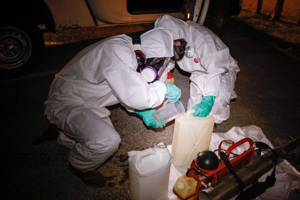 Une opération de démoustication est prévue dans la nuit du vendredi 27 au samedi 28 septembre pour endiguer la propagation de la dengue dans le quartier de Breil Malville à Nantes.