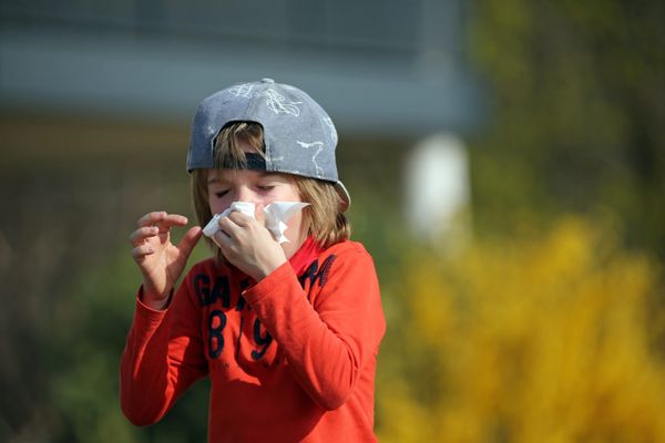 Le printemps est arrivé et avec lui le pollen. Voici quelques trucs et astuces pour les sensibles et allergiques.