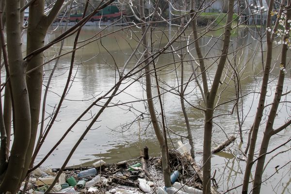 Les berges polluées par des déchets en plastique au Port-Marly dans les Yvelines.