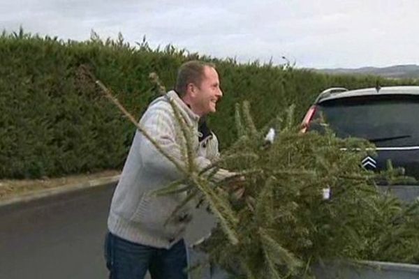 Chaque année, à pareille époque, c'est la même corvée : comment se débarrasser du sapin de Noël ?