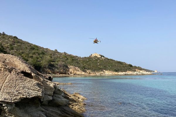 Ce mardi 23 février, un quinquagénaire a été encorné sur le sentier des douaniers à Saint-Florent. 