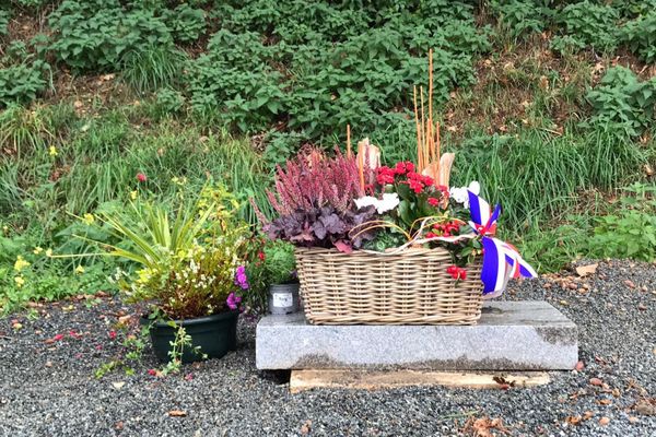 Une fleur a été déposée à la place de la stèle vandalisée