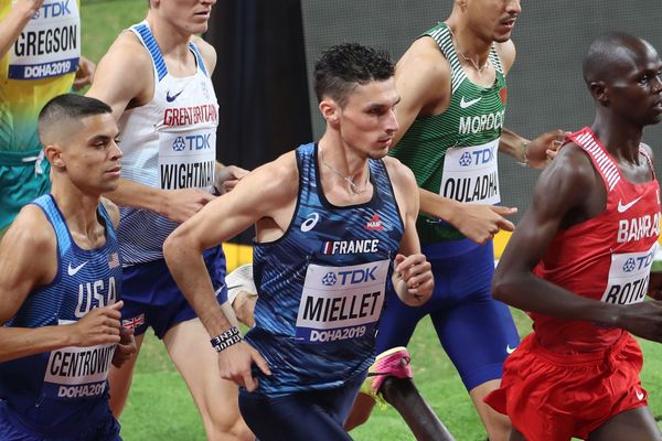 Alexis Miellet, à Doha, lors des séries du 1 500 mètres ce jeudi 3 octobre 2019.