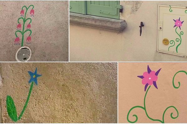 Les petites fleurs habillent les murs d'Auxerre.