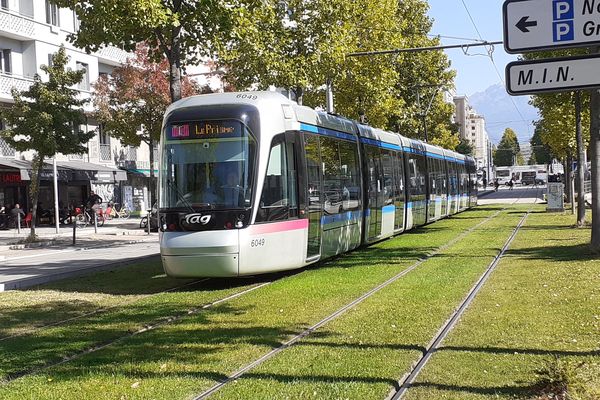 Le trafic des tramways devrait reprendre normalement ce mercredi 9 novembre