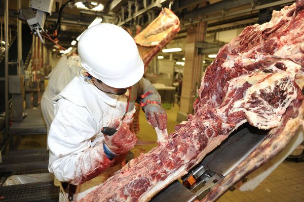 Abattoir de la Societe Vitreenne d’Abattage SVA a Vitre ( Ille-et-Vilaine )