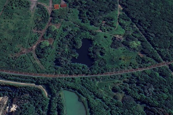 La forêt de Bougon proche de l'aéroport de Nantes