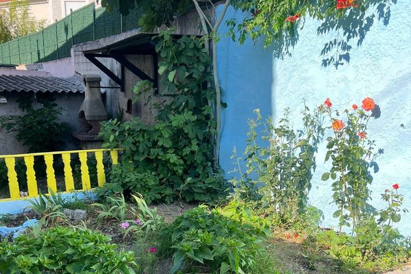 Les pluies chargées de poussières du Sahara peuvent s'avérer bénéfiques pour les jardins.