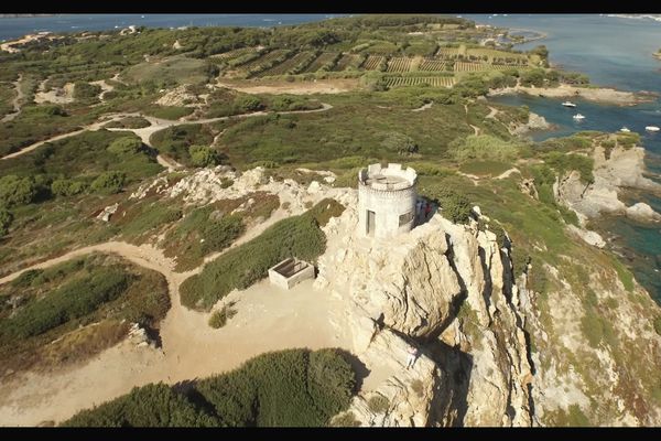 L'ile des Embiez, un petit paradis varois