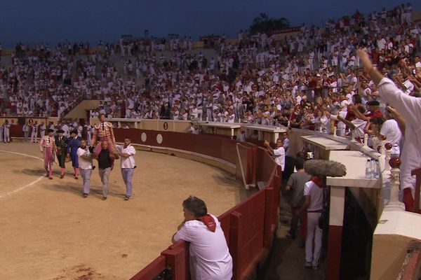 Manuel Escribano a triomphé dimanche dernier à Bayonne avec les toros de Margé. Il est dans Signes du Toro l'Actu n° 6.