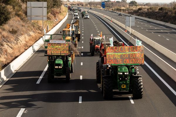 Mobilisation des agriculteurs le Jeudi 1er février 2024. Environ 300 manifesatants pour une centaine de véhicules (tracteurs et VL) ont convergé depuis Perpignan jusqu'au péga du Boulou, par l'autoroute A9.