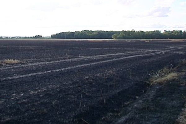 150 hectares de récolte partis en fumée à Romilly-du-Perche dans le Loir-et-Cher. 