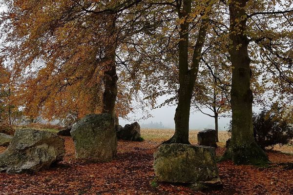 Les mégalithes de Pleslin-Trigavou (22) au couleurs d'automne