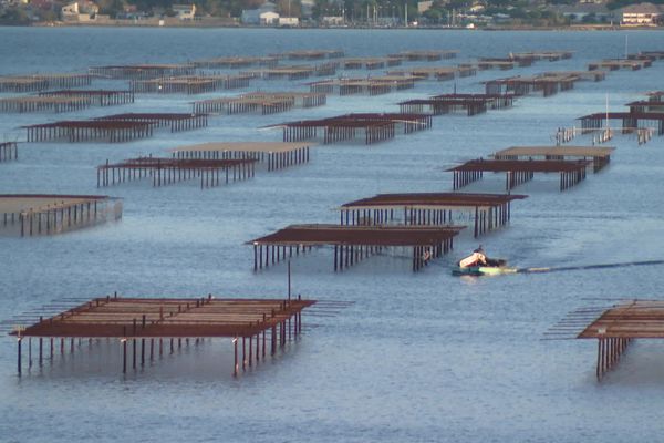 Les parcs à huîtres du bassin de Thau