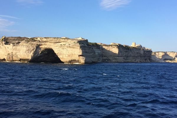 Dans le secteur de Bonifacio, une raréfaction de l'espèce a également été constatée par les pêcheurs.