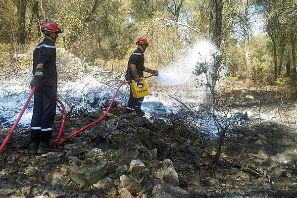 Entre Montbazin et Gigean (Hérault) - les pompiers surveillent et sécurisent la zone de feu, 24 heures après l'incendie - 1er août 2014.