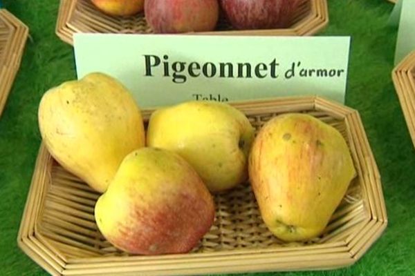 De nombreuses variétés de pommes existent dans le monde