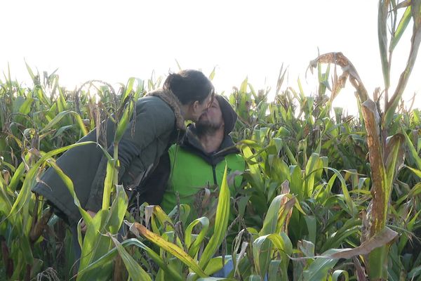 Florian et Lola, au milieu du maïs qu'ils cultivent pour fabriquer leur Pop'Creuse