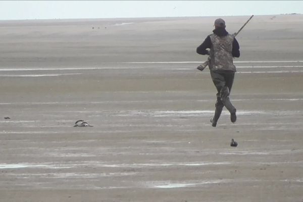 Le militant écologiste a diffusé sur X des images qu'il assure avoir pris en baie de Somme, pour dénoncer les pratiques de la chasse au gibier d'eau.