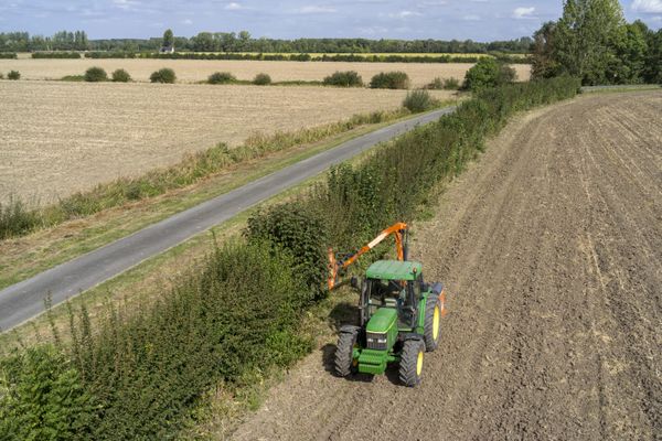 L'élagage de haies agricoles est interdit du 16 mars au 31 juillet pour proéger la biodiversité.