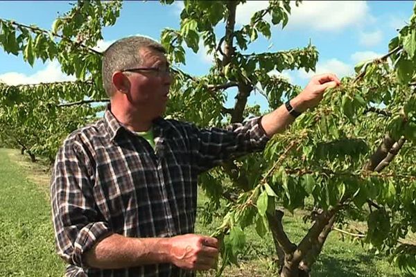 Olivier Jarjat sur son exploitation à Saint-Julien-le-Roux