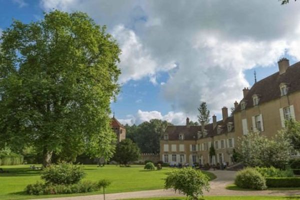 Un platane spectaculaire - vieux de 400 ans et haut de 42 mètres - situé sur le domaine du château-hôtel  de Vault de Lugny, a reçu le label "Arbre remarquable de France"