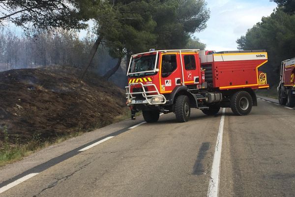 Camion de pompiers en intervention. Illustration