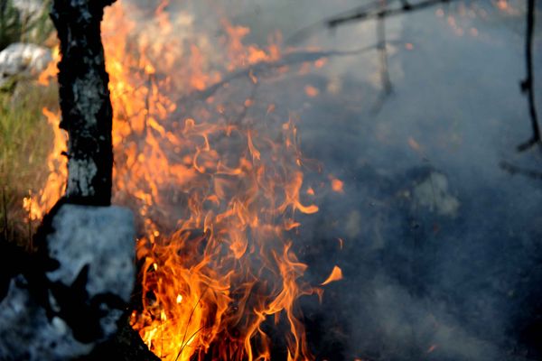 Les pompiers du Lot appellent au civisme quant au brûlage des déchets végétaux.