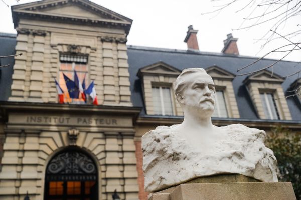 Le 27 décembre 2022 marquera le bicentenaire de la naissance de Louis Pasteur. Le scientifique du Jura laisse son nom à plusieurs instituts répartis à Paris, en régions, et à travers le monde.