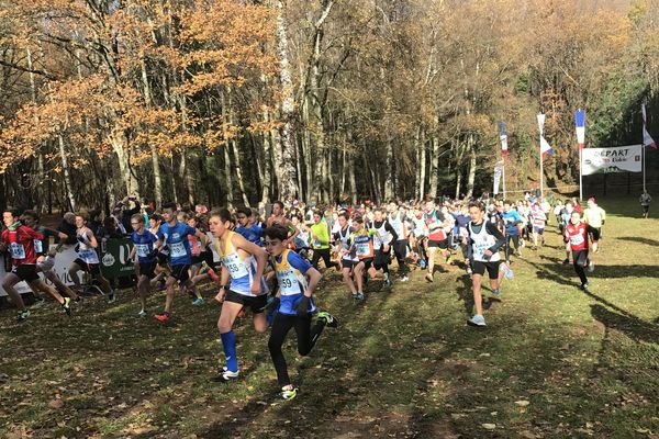 Le cross de Volvic propose 12 courses différentes aux participants, les enfants aussi peuvent participer ! 