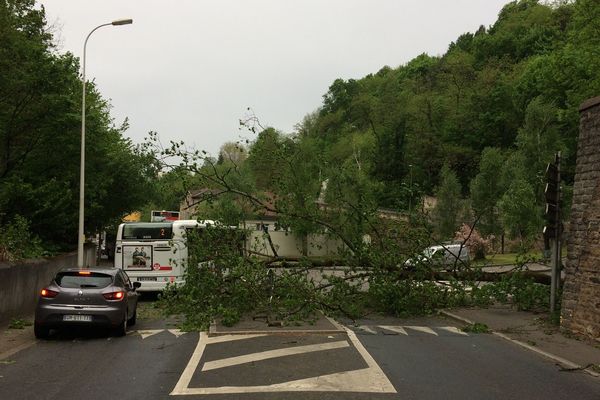 L'arbre s'est couché sur la voirie dans toucher de véhicule. Il sera tronçonné dans l'heure qui vient.