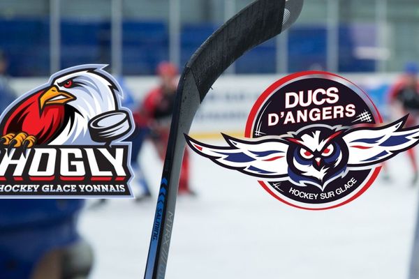 Les Aigles de la Roche-sur-Yon rencontrent les Ducs d'Angers en 8è de finale de la Coupe de France